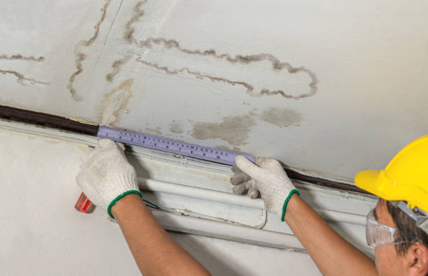 Reliable Water Damage Repair contractor in Dryden, MI by Hirex Water Damage